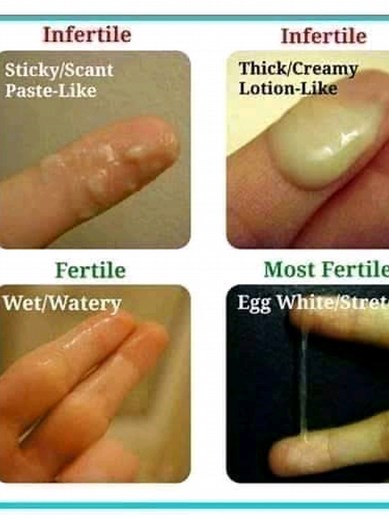 Dr. Eman Ali on TikTok