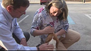 Beagle spans 3 states; Reunites with owner 17 months later