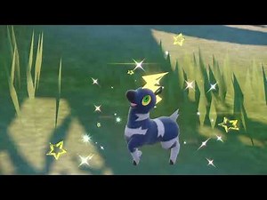 Shiny Blitzle + Zebstrika Evolution - Pokémon Scarlet