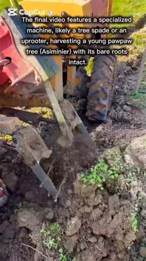 Specialized Farming: Mechanical Tree Uprooting