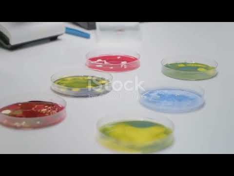 Dynamic Binding Capacity: The Heart of Chromatography