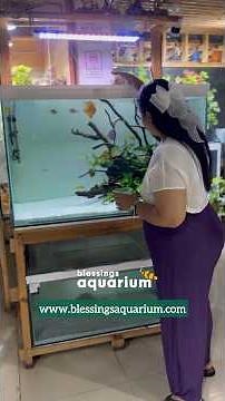 Planted aquarium dosing | Handmade Planted Tank Fertilizer | How to fertilize aquarium plant #fish