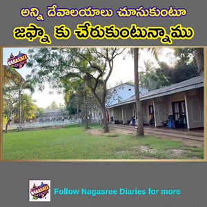 59K views · 220 reactions | #srilankatravel #srilankatourism #srilankatrip #nagasreediaries | Nagasree Diaries | Facebook