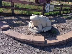 New Apartments for Rent in 80241, Thornton, CO