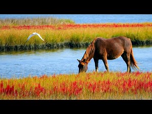 3 Hours of Relaxing Sleep Music for Stress Relief • Beautiful Piano Music