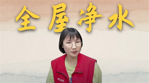 【家用净水推荐】史密斯（A.O.SMITH）佳尼特前置过滤器 家用净水器全屋净水小海豚CPFT6 实测8T大流量双核过滤3D旋喷式高压反冲洗