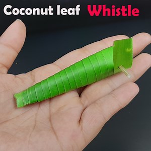 How to make Coconut leaf whistle (Kids will love this) - Coconut(palm) leaf crafts. | Rana Craft