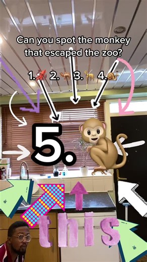 Find the Escaped Monkey: A Fun Kitchen Challenge