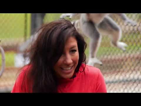 Welcome to Cape Girardeau - Missouri Life TV - Season 6 - Episode 2