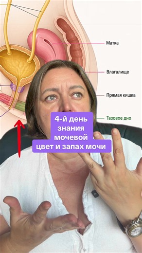 4-й день: цвет и запах мочи — что означают изменения