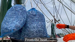 49 reactions · 14 shares | We wanted to take everyone through the...