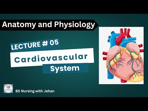 🫀 Cardiovascular System: Anatomy and Physiology Explained | Lecture # 05 ||