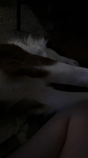 homersimpson4u04 (@homersimpson4u04)’s videos with original sound - homersimpson4u04