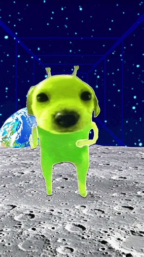 alien are exercising