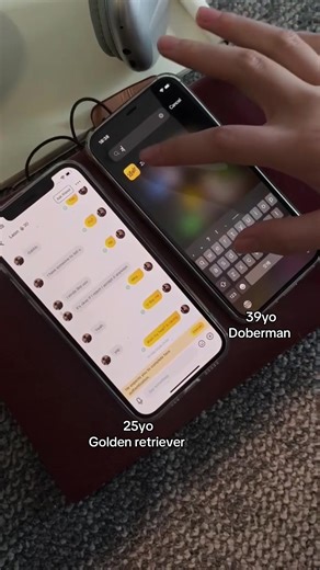 Zestr match: older or younger? overprotective or clingy #clingy #zestr #doberman #call #mytype