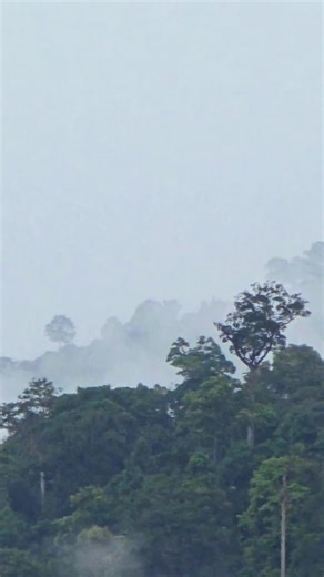 #สตอรี่ความรู้สึก #เทรนด์วันนี้ #มาตอมุงตาแจ ต่อให้ ”คำพูด“ จะเก่งแค่ไหน ก็ไม่สามารถสู้ “การกระทำ” ที่ชัดเจน“เพราะการเห็นด้วยตา มันดีกว่าการได้ยินแค่หู”😉📽