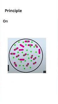 Endospore Staining Explained in 90 Seconds | Microbiology Short