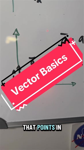Understanding Vectors: The Building Blocks of Physics