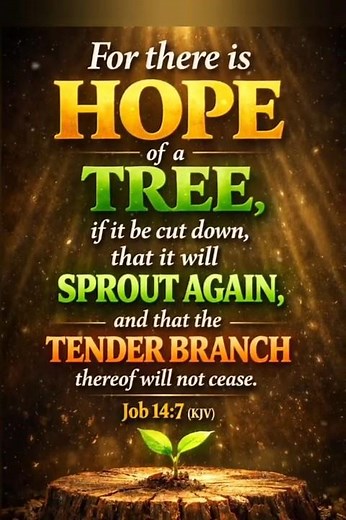 Powerful Bible Verses on Hope, Restoration, Revival New Life Christian Motivation #christianreels