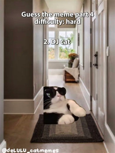 Guess the meme part 4 #guessthememe #catmemes #cats