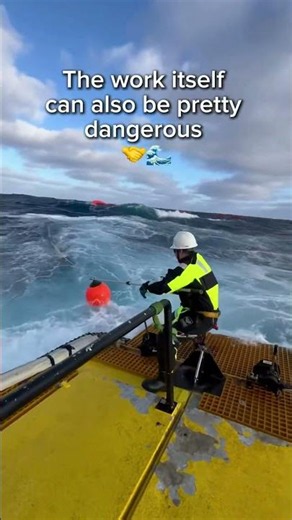 How dangerous it is out here 🌊🤝 Insta fifocareer for more info ! #fifo #offshorelife #oilandgas