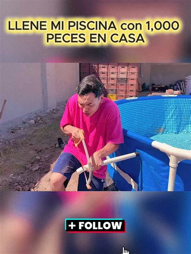 Llene Mi Piscina con 1,000 Peces en Casa - Parte 5