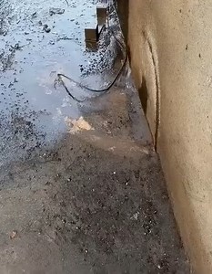 391K views · 999 reactions | What kind of Dance is this? Ba Safe: Electricity is Dangerous, If you give it a chance, it will never miss it. DM for Credit. | Electrical Technology | Facebook