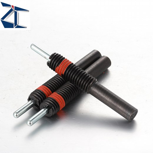[Hot Item] Zpjs Heavy-Duty Spring Loaded Plunger Set for Industrial Applications