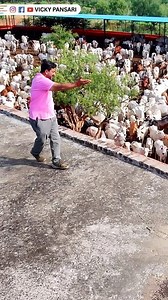 13M views · 429K reactions | तुझ में रब दिखता है....❤️ जय गौ माता  || Vicky Pansari || #gau #gaumata #gausewa #vickypansari #gaushala . . For Donation in Gau Sewa . Bank Details:- Vicky Pansari Charitable Foundation UCO BANK Account No. - 30140210001882 IFSC Code - UCBA0003014 Phone Pay / Google Pay no. - 7027790800 | Vicky Pansari | Facebook