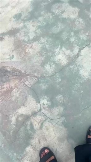 Celebrating Graduation Day: A Journey Ends