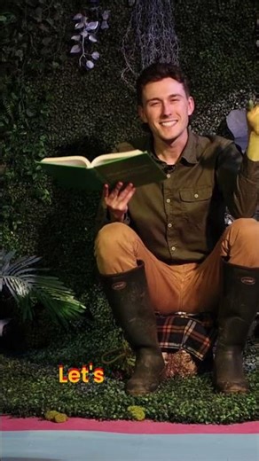 Learn About Ferns: A Plant Systematics Adventure! #shorts