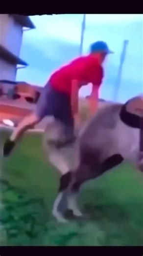 Part 5 tools in Corel draw