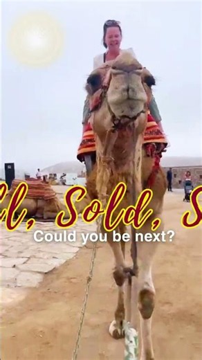 Ruth Is in Holiday Mode… Could You Be Next? | Sell Sold Sun