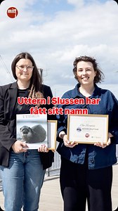 Uttern i Slussen har fått sitt namn. Vad tycker du om namnet? #mittistockholm #mitti | Mitt i Stockholm