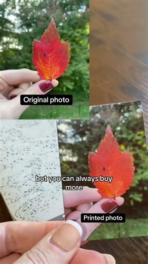 HP Sprocket Instant Printer