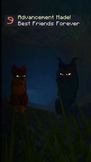 the life of firestar | Warrior Cats; Ultimate Edition
