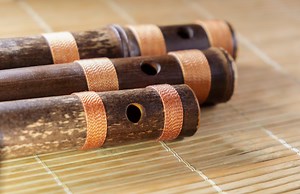 10 Best Musical Instruments That Start With the Letter J - Singersroom.com