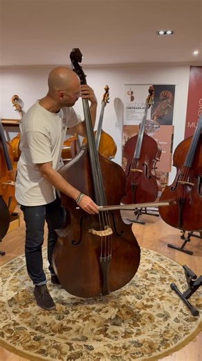 Today Marco came by ready to make us vibrate a little. He stopped at the workshop with his stunning English double bass by John Devereux for a quick adjustment, and then stayed to try out some instruments. Always a pleasure to share these moments. Thank you Marco! 🎻💪 Double bass by the maker known as Pietro Giovanni Caspani, Venice, ca. 1715. 🌐 www.seccioncontrabajo.com 📞 34 918 566 447 #contrabajo #englishdoublebass #doublebass #kontrabass #contrebasse #doublebassist #doublebassist #doubleb