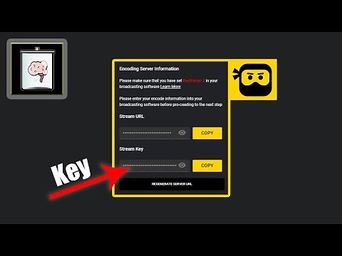DLive Stream Schlüssel finden | So Gehts!