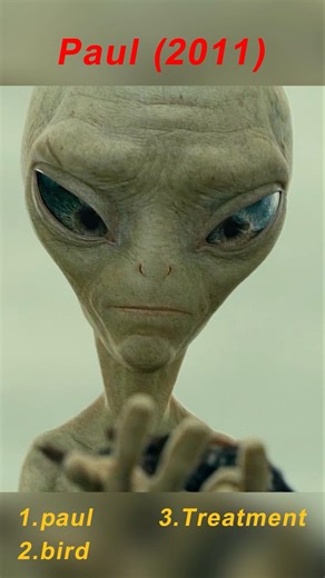 Paul (2011) | Paul Heals the Injured Bird: Alien Kindness in Action 🐦👽💫