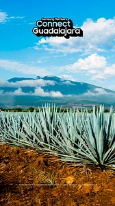 🎉 ¿Quieres vivir una experiencia exclusiva para usuarios Galaxy en Guadalajara? Únete a Samsung Members y participa | Samsung