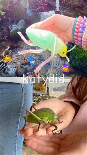 Toy Learning Fun | Kids Learn Bug Insect Names at the Waterfall: Dragonfly Ladybug Scorpion Katydid