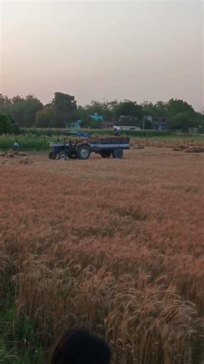 💪❤️‍🔥❤️‍🩹