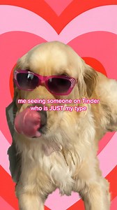 Match with someone who gets you. | Tinder