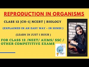 Class 12 Chapter 1 Reproduction in organisms | Class 12 Biology | NCERT Full Chapter 1| NEET | AIIMS