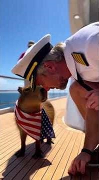 He Challenged the Capybara... INSTANT REGRET!