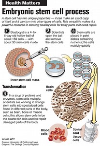 Embryonic Stem Cell research (ESC)