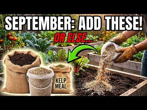 7 Soil Amendments You MUST Add in September!