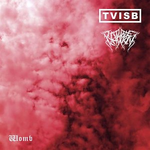 TVISB, Robbie Coburn - Womb