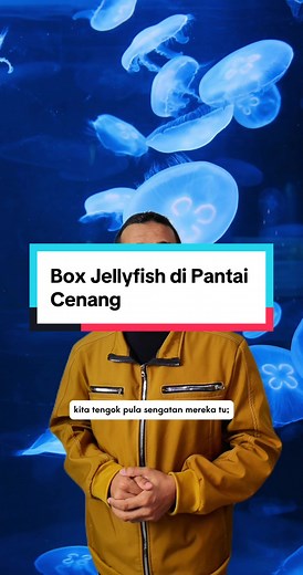 Keluarga Kehilangan Anak Akibat Sengatan Obor-Obor